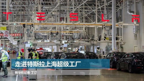 走進特斯拉上海超級工廠 探秘綠色智能制造的上海技術(shù)服務(wù)新標桿