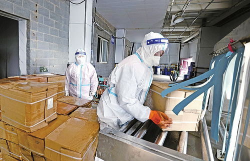 融媒先鋒｜進口冷鏈食品進濟“安檢” 每個流程和細節都不放過，倉外的“眼睛”點亮停車場服務