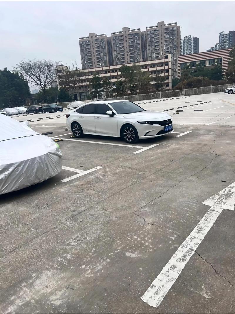 停車場里的社交溫度 一次路人對話的啟示